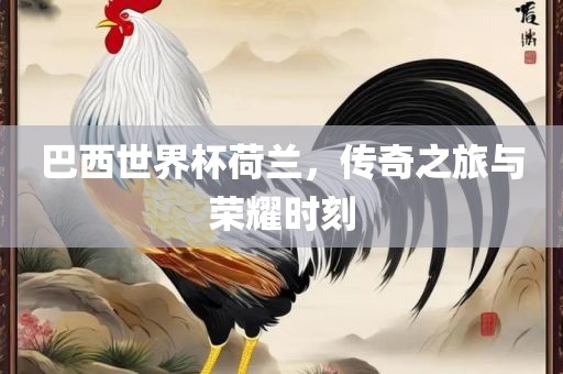 巴西世界杯荷兰，传奇之旅与荣耀时刻