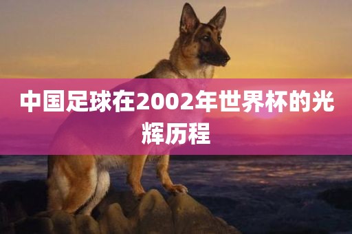 中国足球在2002年世界杯的光辉历程