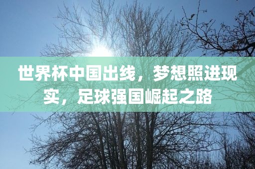 世界杯中国出线，梦想照进现实，足球强国崛起之路