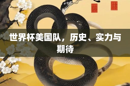世界杯美国队，历史、实力与期待