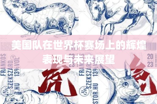 美国队在世界杯赛场上的辉煌表现与未来展望
