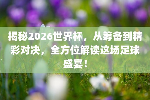 揭秘2026世界杯，从筹备到精彩对决，全方位解读这场足球盛宴！