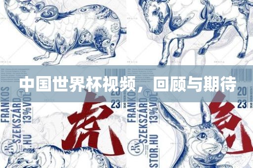 中国世界杯视频，回顾与期待