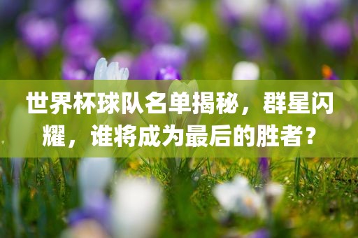 世界杯球队名单揭秘，群星闪耀，谁将成为最后的胜者？