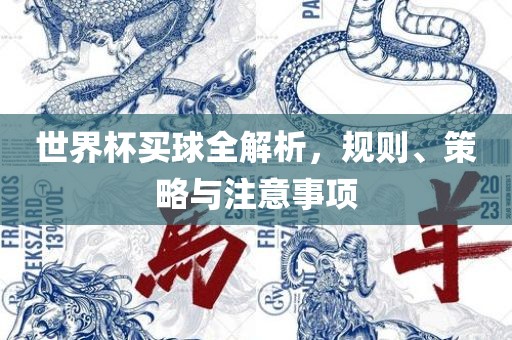 世界杯买球全解析，规则、策略与注意事项