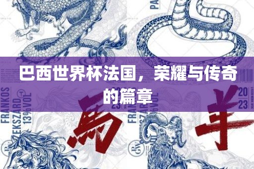 巴西世界杯法国，荣耀与传奇的篇章