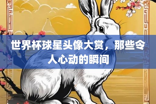 世界杯球星头像大赏，那些令人心动的瞬间