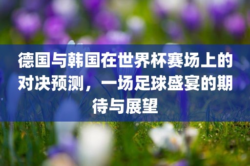 德国与韩国在世界杯赛场上的对决预测，一场足球盛宴的期待与展望