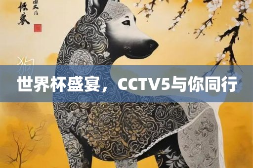 世界杯盛宴，CCTV5与你同行