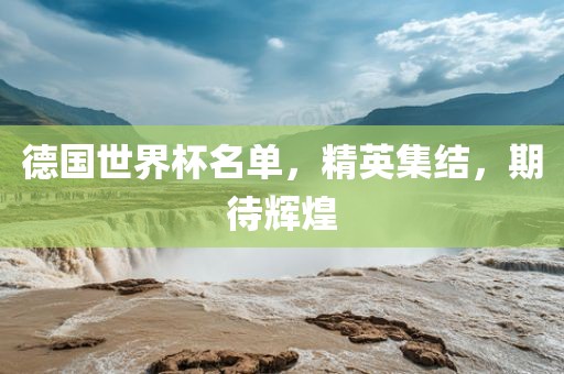 德国世界杯名单，精英集结，期待辉煌