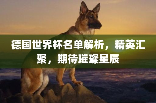 德国世界杯名单解析，精英汇聚，期待璀璨星辰
