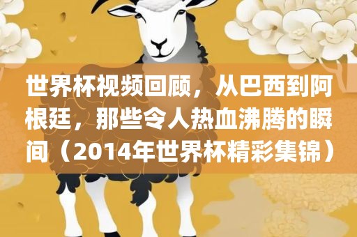世界杯视频回顾，从巴西到阿根廷，那些令人热血沸腾的瞬间（2014年世界杯精彩集锦）