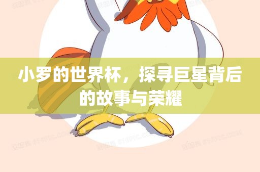 小罗的世界杯，探寻巨星背后的故事与荣耀