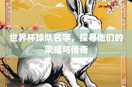 世界杯球队名字，探寻他们的荣耀与传奇