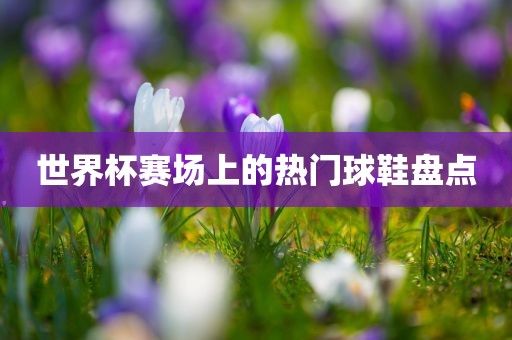 世界杯赛场上的热门球鞋盘点