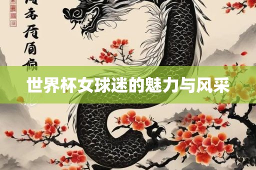 世界杯女球迷的魅力与风采