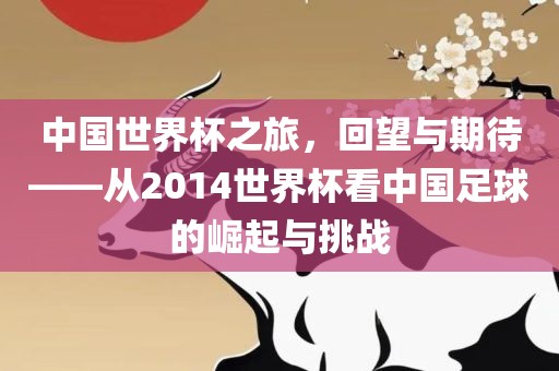 中国世界杯之旅，回望与期待——从2014世界杯看中国足球的崛起与挑战