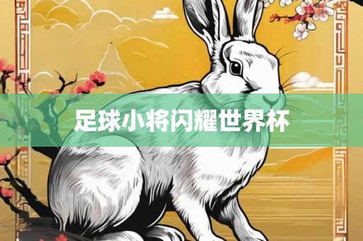足球小将闪耀世界杯