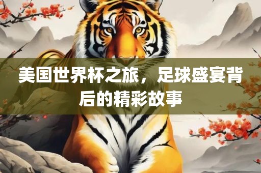 美国世界杯之旅，足球盛宴背后的精彩故事