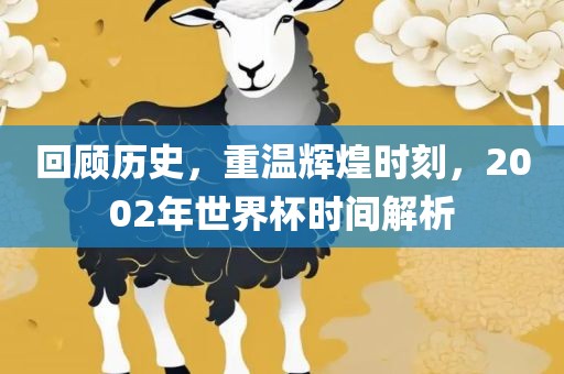 回顾历史，重温辉煌时刻，2002年世界杯时间解析