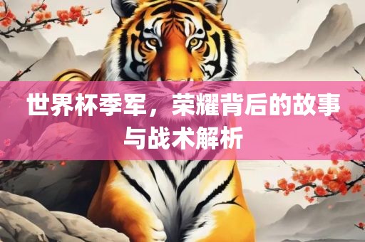世界杯季军，荣耀背后的故事与战术解析