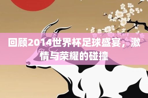 回顾2014世界杯足球盛宴，激情与荣耀的碰撞