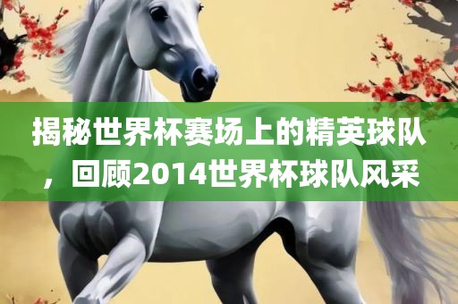 揭秘世界杯赛场上的精英球队，回顾2014世界杯球队风采