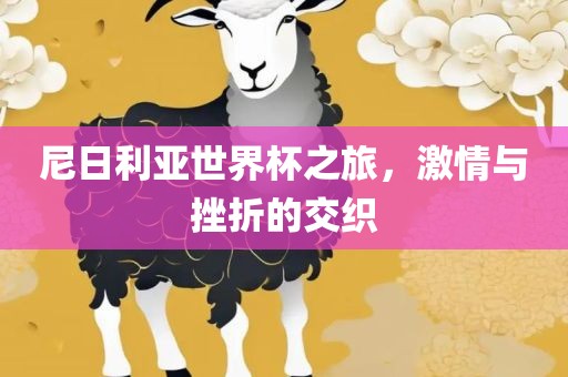尼日利亚世界杯之旅，激情与挫折的交织