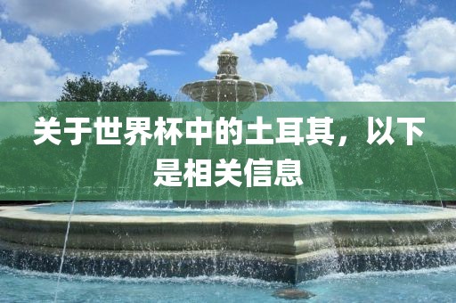 关于世界杯中的土耳其，以下是相关信息