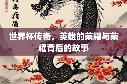 世界杯传奇，英雄的荣耀与荣耀背后的故事