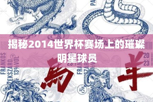 揭秘2014世界杯赛场上的璀璨明星球员