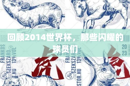 回顾2014世界杯，那些闪耀的球员们