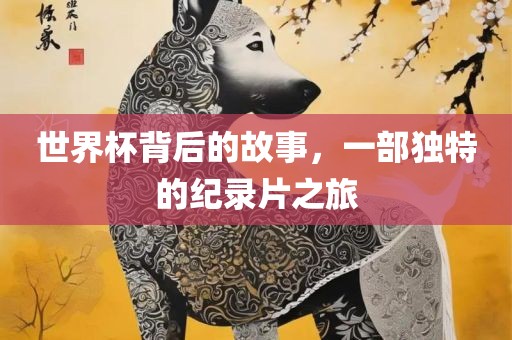 世界杯背后的故事，一部独特的纪录片之旅