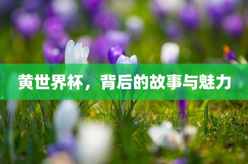 黄世界杯，背后的故事与魅力