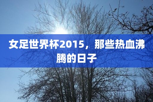 女足世界杯2015，那些热血沸腾的日子