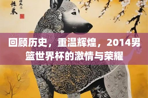 回顾历史，重温辉煌，2014男篮世界杯的激情与荣耀