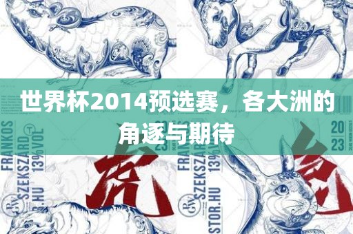 世界杯2014预选赛，各大洲的角逐与期待
