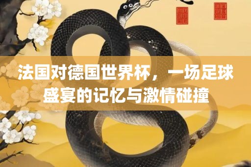 法国对德国世界杯，一场足球盛宴的记忆与激情碰撞