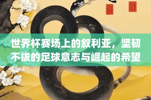 世界杯赛场上的叙利亚，坚韧不拔的足球意志与崛起的希望