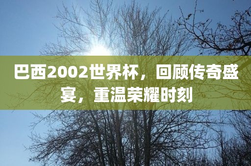 巴西2002世界杯，回顾传奇盛宴，重温荣耀时刻