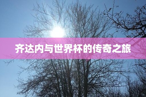 齐达内与世界杯的传奇之旅