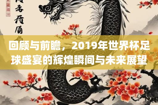 回顾与前瞻，2019年世界杯足球盛宴的辉煌瞬间与未来展望