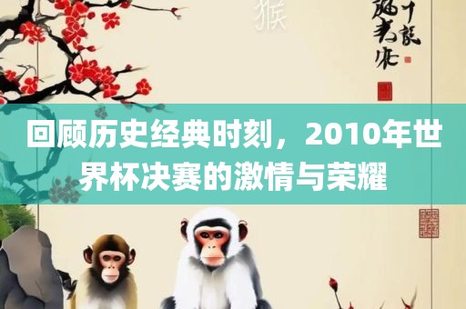 回顾历史经典时刻，2010年世界杯决赛的激情与荣耀
