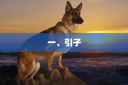 一、引子