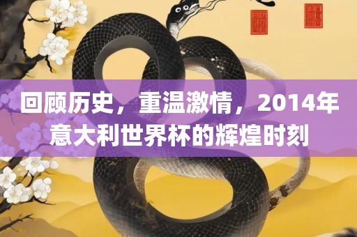 回顾历史，重温激情，2014年意大利世界杯的辉煌时刻
