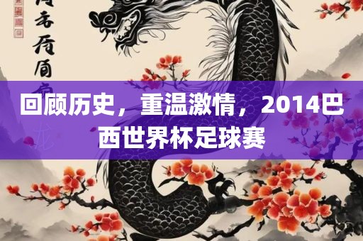 回顾历史，重温激情，2014巴西世界杯足球赛
