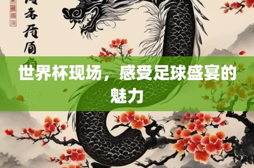世界杯现场，感受足球盛宴的魅力