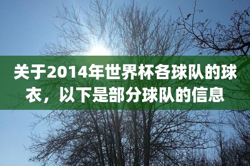 关于2014年世界杯各球队的球衣，以下是部分球队的信息