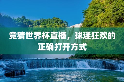 竞猜世界杯直播，球迷狂欢的正确打开方式
