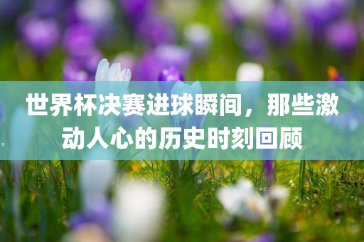 世界杯决赛进球瞬间，那些激动人心的历史时刻回顾